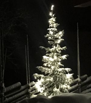 Julemøte - nye medlemmer